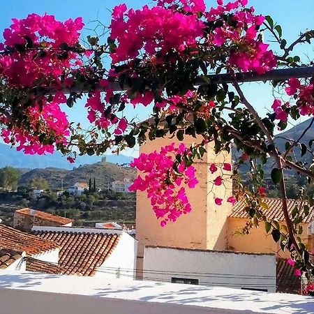 Bédar Casa Caballito De Mar Boutique B&B المظهر الخارجي الصورة