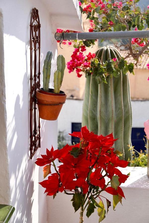 Bédar Casa Caballito De Mar Boutique B&B المظهر الخارجي الصورة