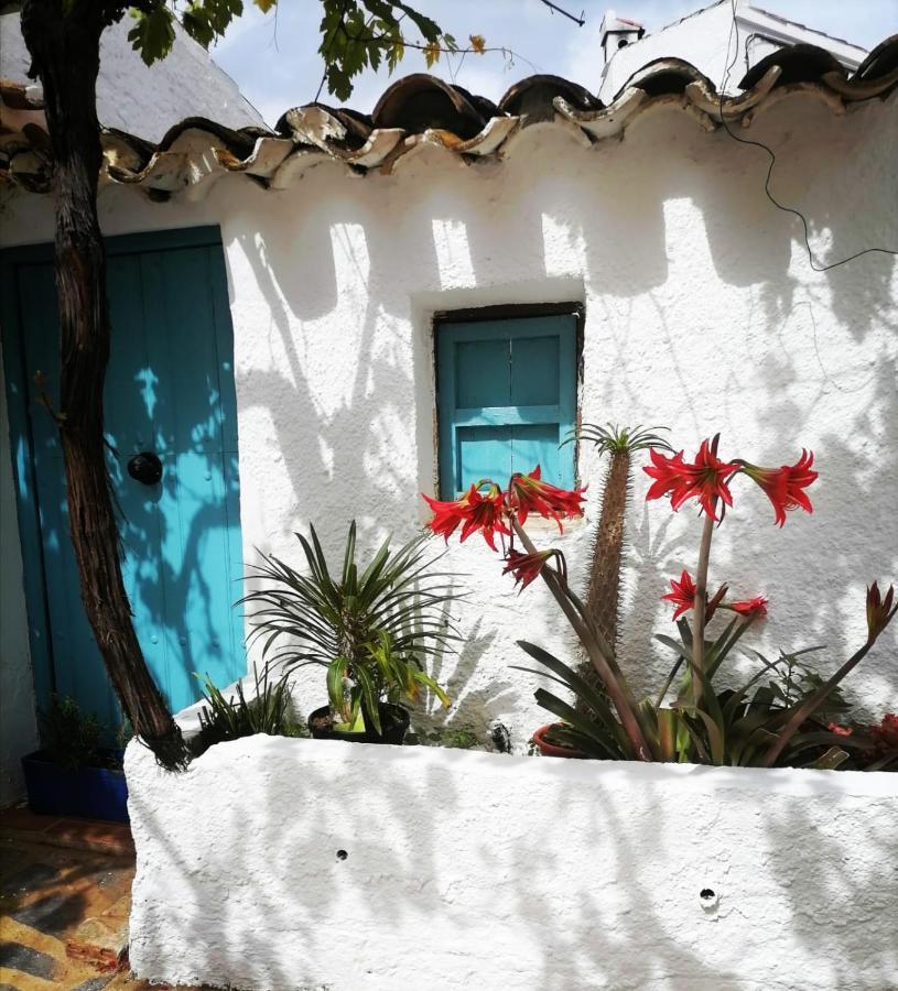 Bédar Casa Caballito De Mar Boutique B&B المظهر الخارجي الصورة