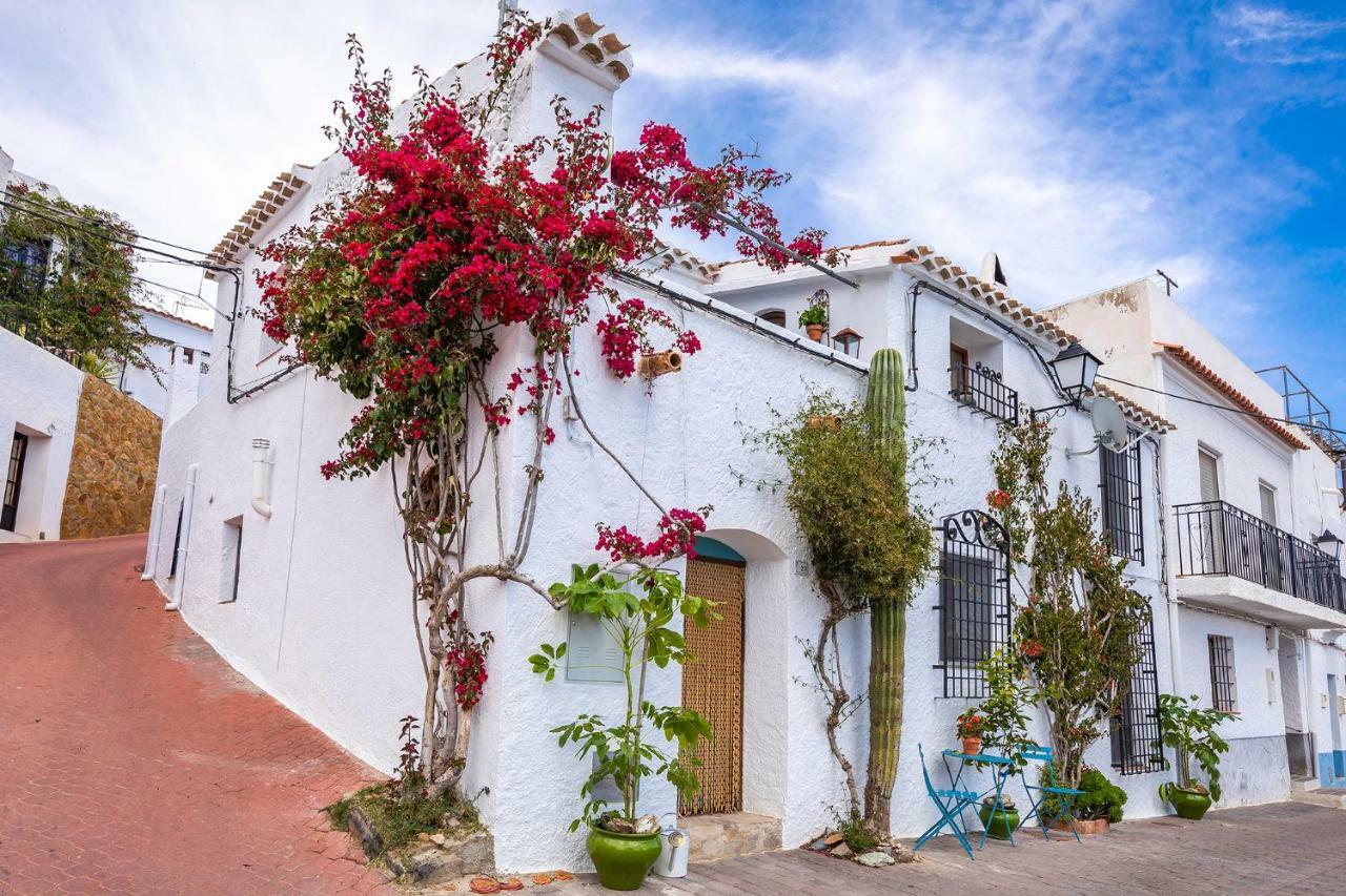 Bédar Casa Caballito De Mar Boutique B&B المظهر الخارجي الصورة