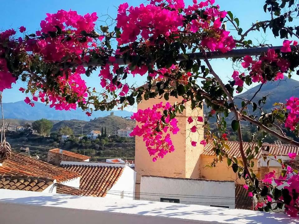 Bédar Casa Caballito De Mar Boutique B&B المظهر الخارجي الصورة